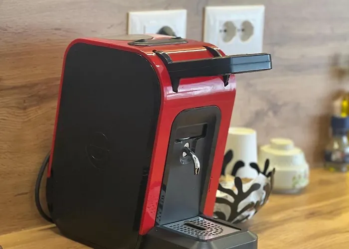 Apartment The Pebble Couch